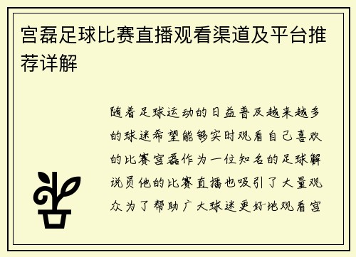 宫磊足球比赛直播观看渠道及平台推荐详解